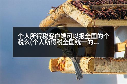 個人所得稅客戶端可以報全國的個稅么(個人所得稅全國統(tǒng)一的嗎)