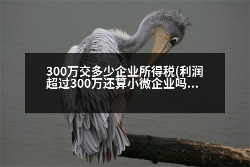 300萬(wàn)交多少企業(yè)所得稅(利潤(rùn)超過(guò)300萬(wàn)還算小微企業(yè)嗎)