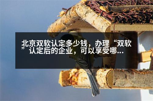 北京雙軟認定多少錢，辦理“雙軟”認定后的企業(yè)，可以享受哪些優(yōu)惠