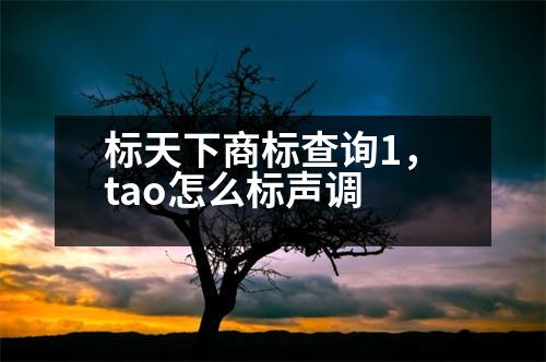 標(biāo)天下商標(biāo)查詢1，tao怎么標(biāo)聲調(diào)