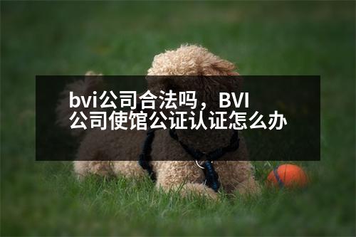 bvi公司合法嗎，BVI公司使館公證認證怎么辦