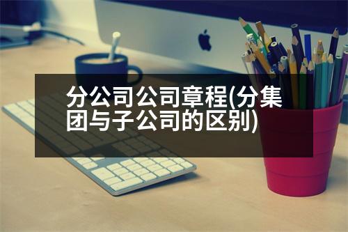 分公司公司章程(分集團(tuán)與子公司的區(qū)別)