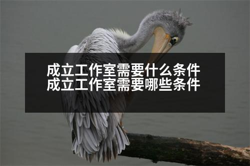 成立工作室需要什么條件 成立工作室需要哪些條件