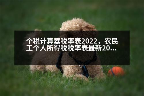 個(gè)稅計(jì)算器稅率表2022，農(nóng)民工個(gè)人所得稅稅率表最新2023