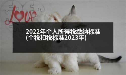 2022年個人所得稅繳納標(biāo)準(zhǔn)(個稅扣稅標(biāo)準(zhǔn)2023年)