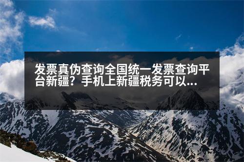 發(fā)票真?zhèn)尾樵內(nèi)珖?guó)統(tǒng)一發(fā)票查詢平臺(tái)新疆？手機(jī)上新疆稅務(wù)可以發(fā)票抄報(bào)匯總嗎