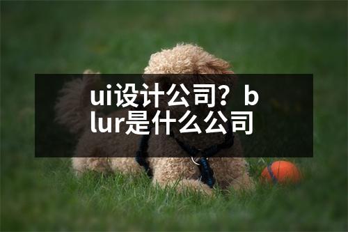 ui設計公司？blur是什么公司