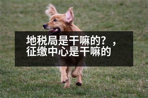 地稅局是干嘛的？，征繳中心是干嘛的