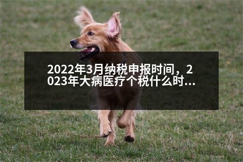 2022年3月納稅申報(bào)時(shí)間，2023年大病醫(yī)療個(gè)稅什么時(shí)候填