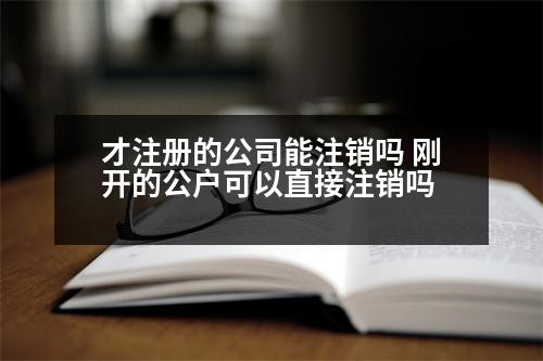 才注冊的公司能注銷嗎 剛開的公戶可以直接注銷嗎