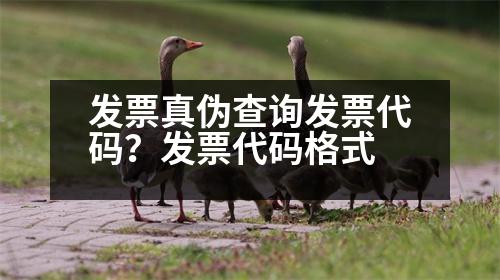 發(fā)票真?zhèn)尾樵儼l(fā)票代碼？發(fā)票代碼格式