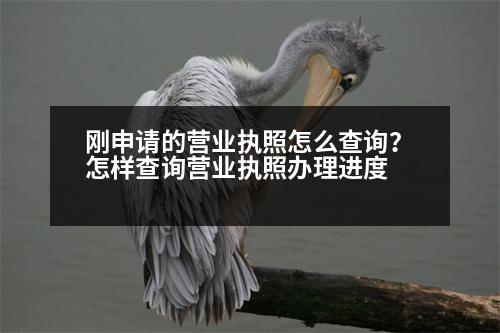 剛申請(qǐng)的營業(yè)執(zhí)照怎么查詢？怎樣查詢營業(yè)執(zhí)照辦理進(jìn)度