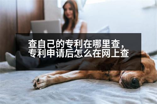 查自己的專利在哪里查，專利申請后怎么在網(wǎng)上查