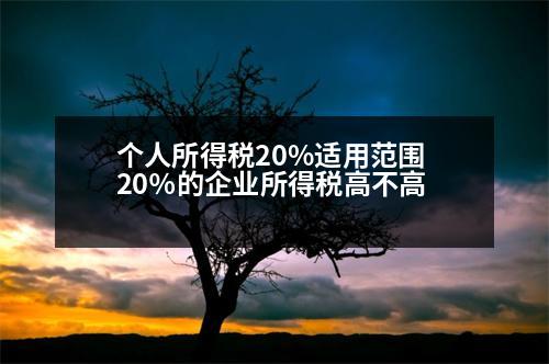 個人所得稅20%適用范圍 20％的企業(yè)所得稅高不高