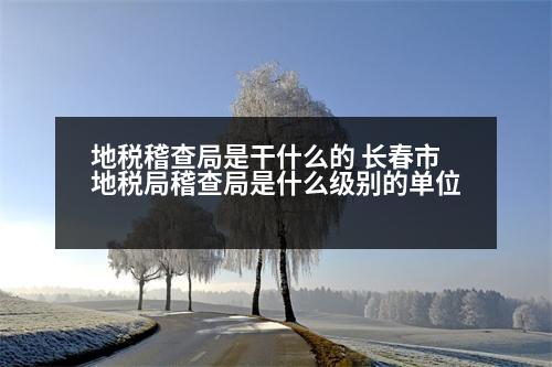 地稅稽查局是干什么的 長(zhǎng)春市地稅局稽查局是什么級(jí)別的單位