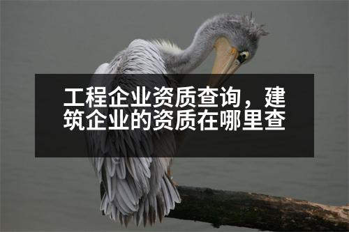 工程企業(yè)資質(zhì)查詢，建筑企業(yè)的資質(zhì)在哪里查