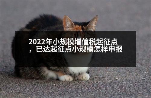 2022年小規(guī)模增值稅起征點，已達(dá)起征點小規(guī)模怎樣申報