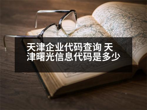 天津企業(yè)代碼查詢 天津曙光信息代碼是多少