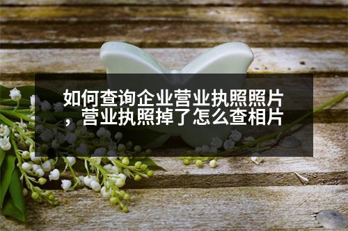 如何查詢企業(yè)營業(yè)執(zhí)照照片，營業(yè)執(zhí)照掉了怎么查相片