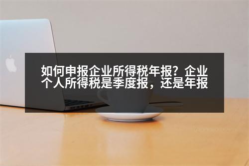 如何申報(bào)企業(yè)所得稅年報(bào)？企業(yè)個(gè)人所得稅是季度報(bào)，還是年報(bào)