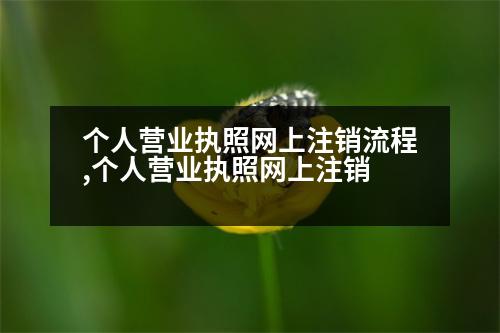 個(gè)人營(yíng)業(yè)執(zhí)照網(wǎng)上注銷流程,個(gè)人營(yíng)業(yè)執(zhí)照網(wǎng)上注銷