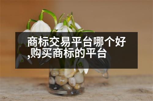 商標(biāo)交易平臺哪個好,購買商標(biāo)的平臺