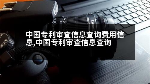 中國專利審查信息查詢費用信息,中國專利審查信息查詢