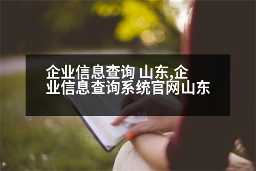 企業(yè)信息查詢(xún) 山東,企業(yè)信息查詢(xún)系統(tǒng)官網(wǎng)山東