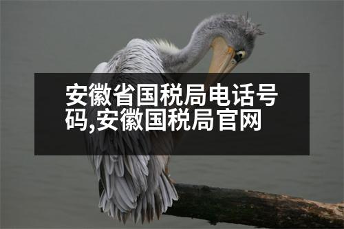 安徽省國稅局電話號(hào)碼,安徽國稅局官網(wǎng)