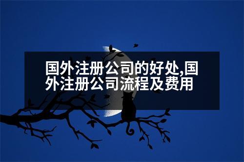 國(guó)外注冊(cè)公司的好處,國(guó)外注冊(cè)公司流程及費(fèi)用