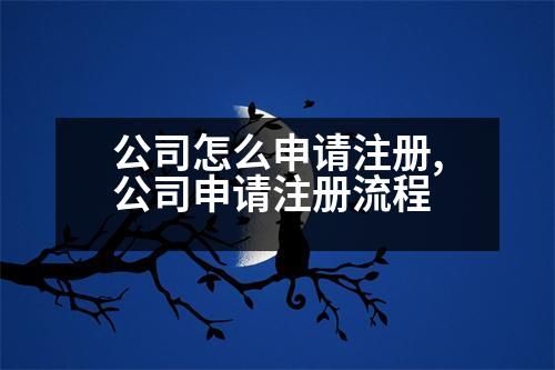 公司怎么申請注冊,公司申請注冊流程