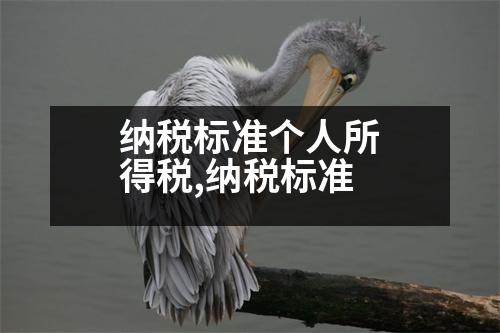 納稅標(biāo)準(zhǔn)個(gè)人所得稅,納稅標(biāo)準(zhǔn)