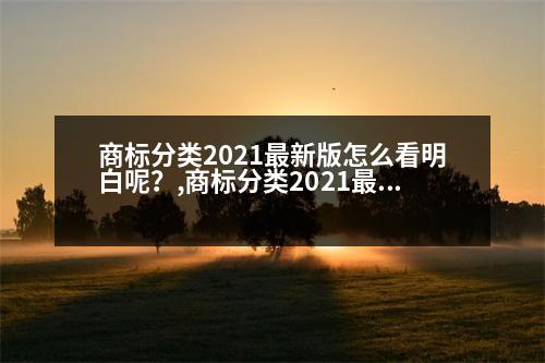 商標(biāo)分類(lèi)2021最新版怎么看明白呢？,商標(biāo)分類(lèi)2021最新版