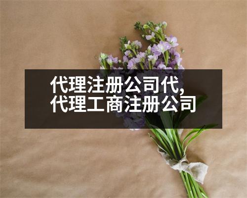 代理注冊(cè)公司代,代理工商注冊(cè)公司