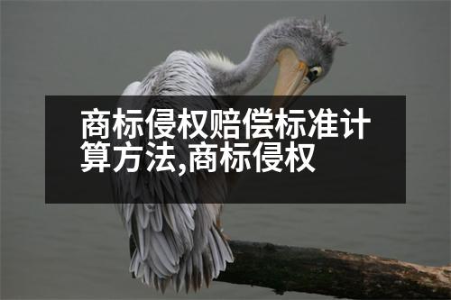 商標侵權(quán)賠償標準計算方法,商標侵權(quán)