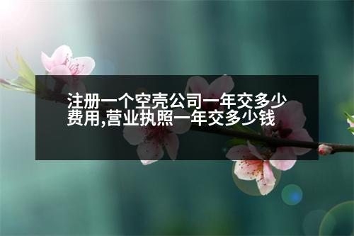 注冊一個(gè)空殼公司一年交多少費(fèi)用,營業(yè)執(zhí)照一年交多少錢