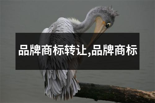 品牌商標轉(zhuǎn)讓,品牌商標