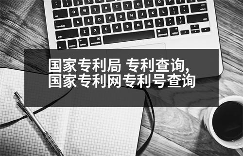 國家專利局 專利查詢,國家專利網(wǎng)專利號查詢