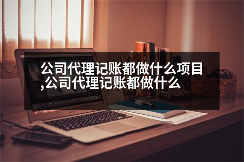 公司代理記賬都做什么項目,公司代理記賬都做什么