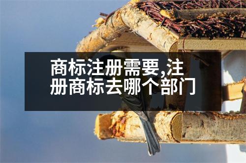 商標(biāo)注冊(cè)需要,注冊(cè)商標(biāo)去哪個(gè)部門(mén)