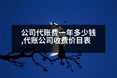 公司代賬費一年多少錢,代賬公司收費價目表