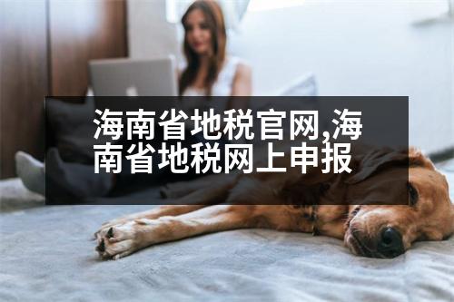 海南省地稅官網(wǎng),海南省地稅網(wǎng)上申報(bào)