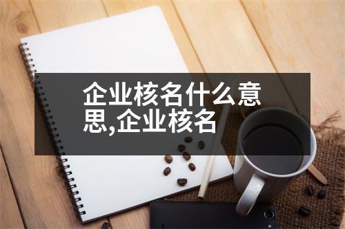 企業(yè)核名什么意思,企業(yè)核名