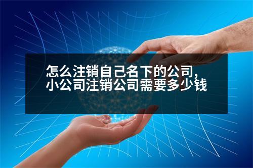 怎么注銷自己名下的公司,小公司注銷公司需要多少錢