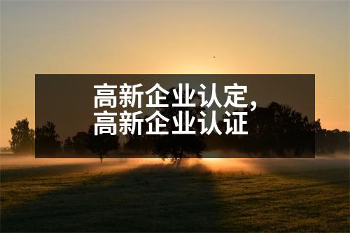 高新企業(yè)認定,高新企業(yè)認證