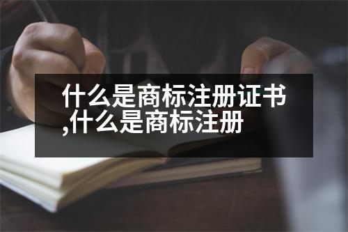 什么是商標(biāo)注冊(cè)證書,什么是商標(biāo)注冊(cè)