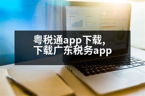 粵稅通app下載,下載廣東稅務(wù)app