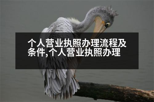 個人營業(yè)執(zhí)照辦理流程及條件,個人營業(yè)執(zhí)照辦理