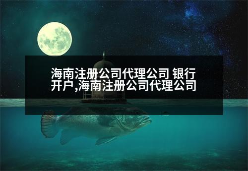 海南注冊(cè)公司代理公司 銀行開戶,海南注冊(cè)公司代理公司