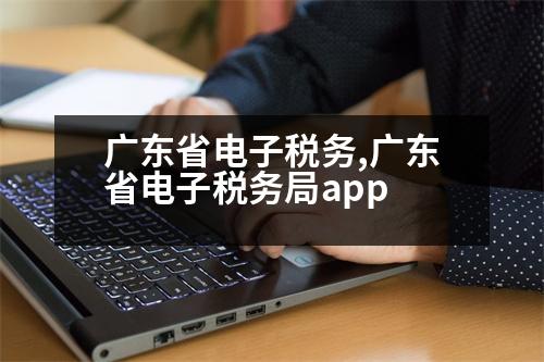 廣東省電子稅務(wù),廣東省電子稅務(wù)局app